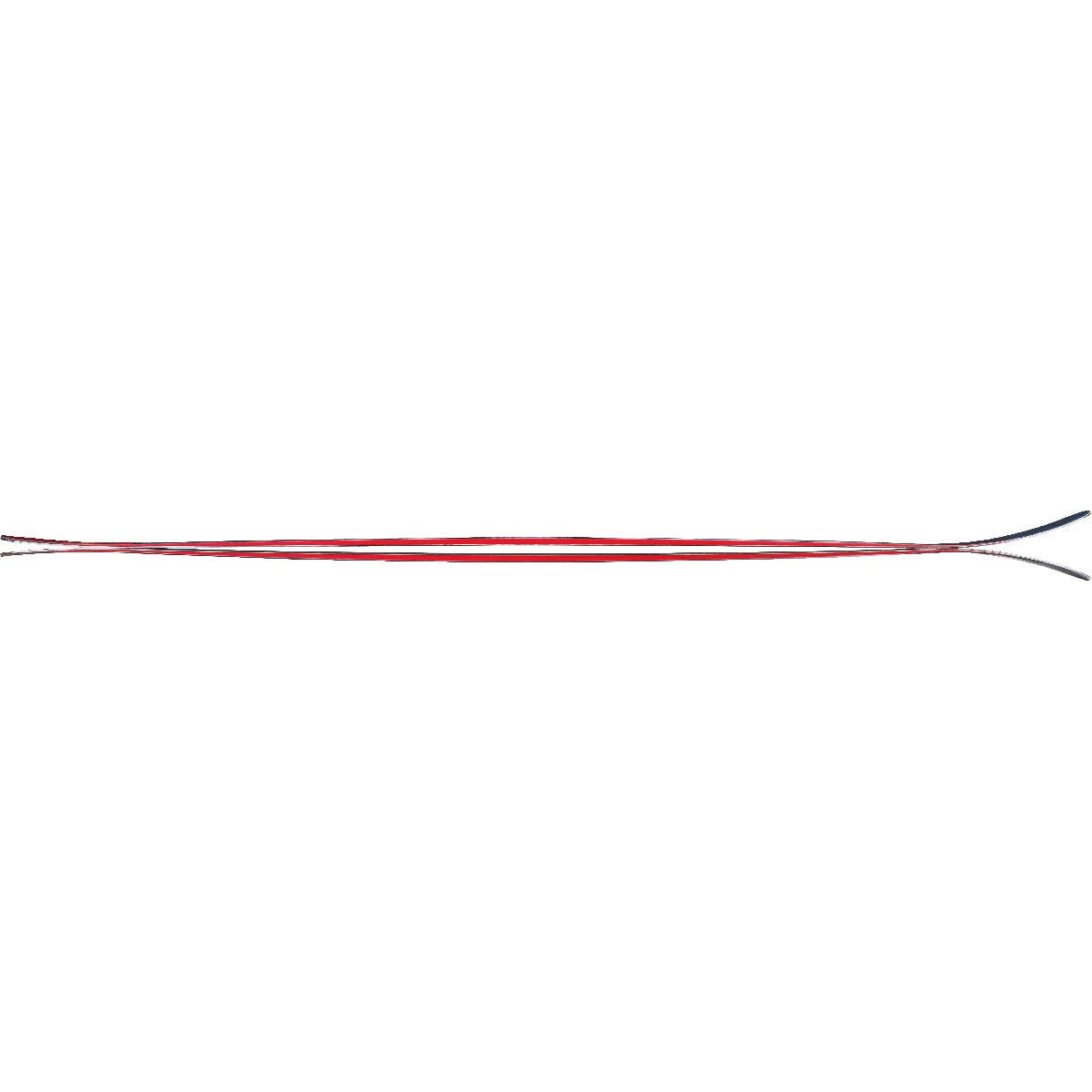Skis 179 cm C5861