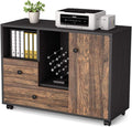 Mobile File Cabinet with 2 Drawer and Wheels V74613