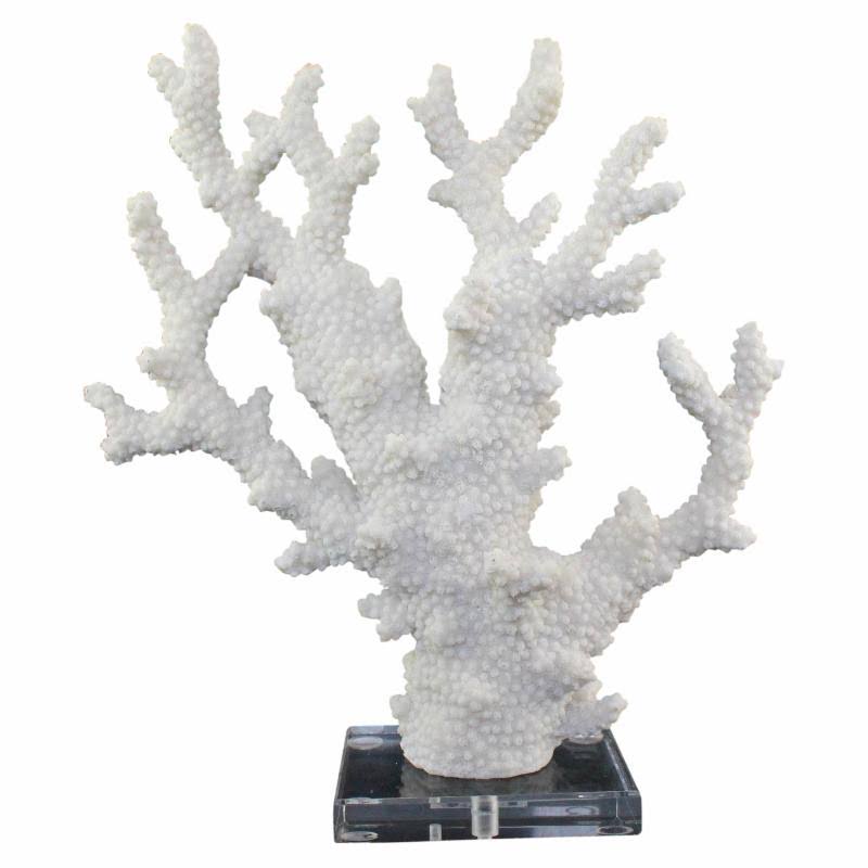 White Coral on Acrylic Base F8113