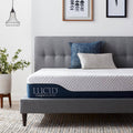 10 in. Gel and Aloe Vera Hybrid Memory Foam Mattress W9058