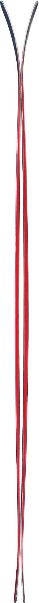 Skis 179 cm C5861