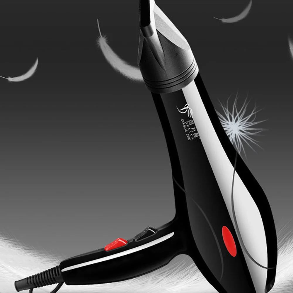 2200W Black Hair Dryer M892