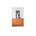 Salmon Recipe Adult Dry Dog Food S45674