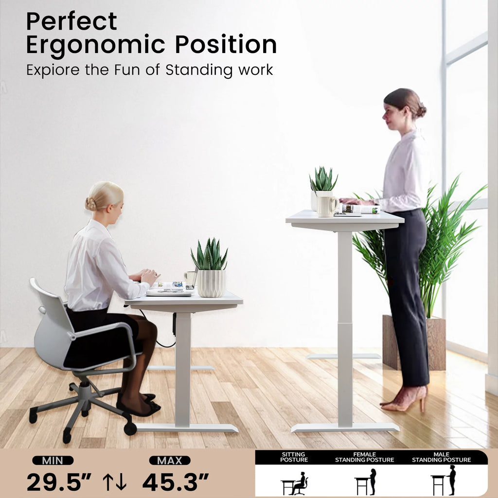 Electric Standing Desk 55 x 24 Inches Height Adjustable White O43491