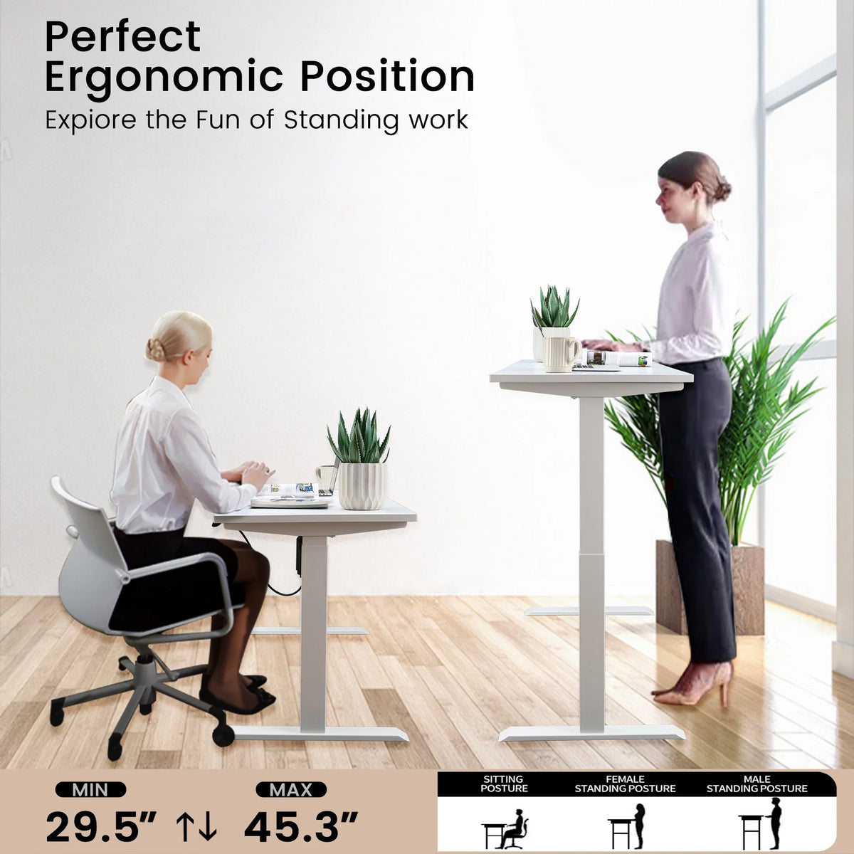Electric Standing Desk 55 x 24 Inches Height Adjustable White O43491