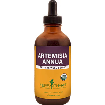 Artemisia annua U16432