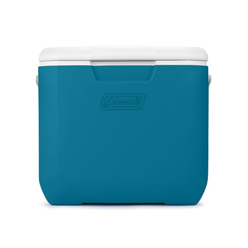 30qt Insulated Portable Cooler with Carry Handle Y71351