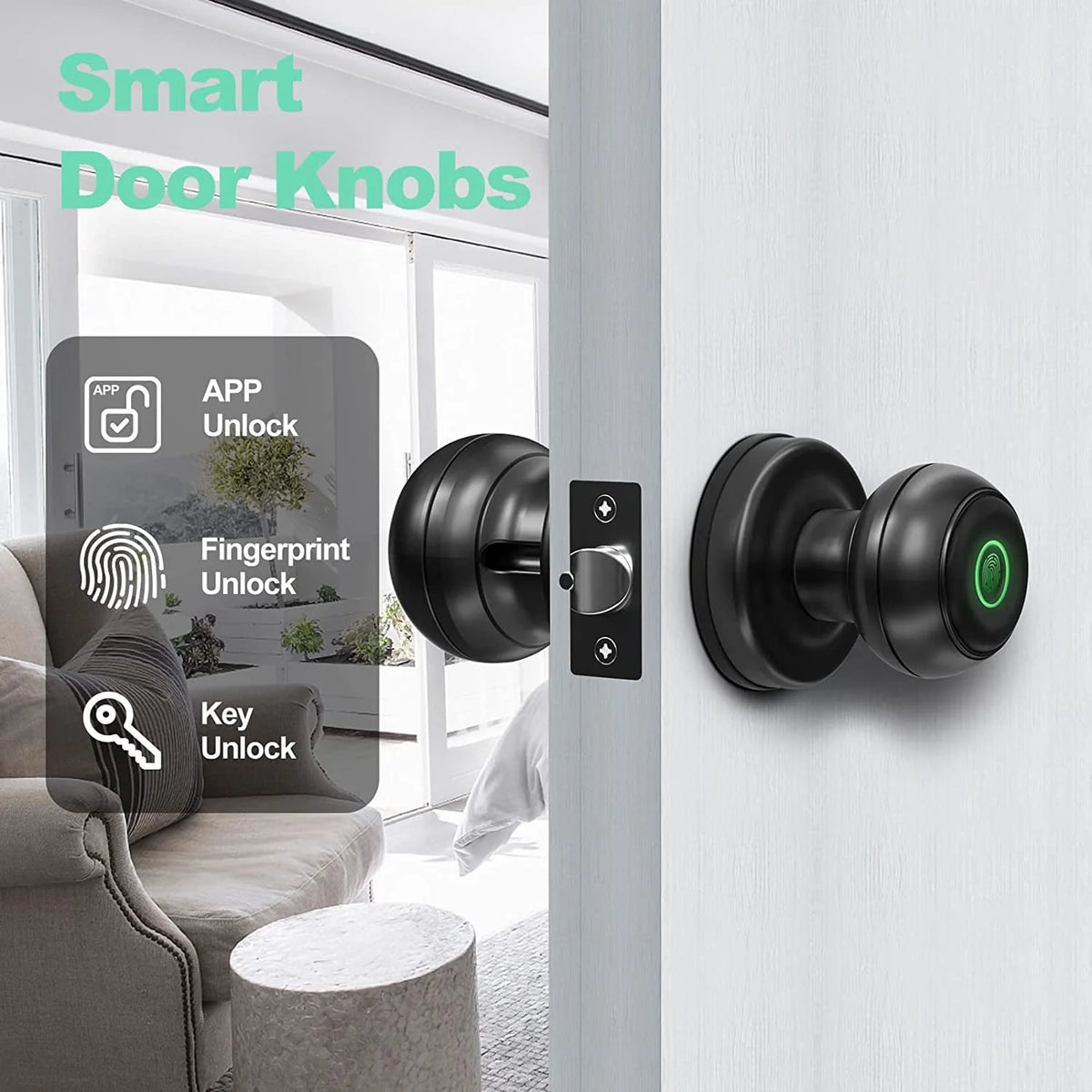 Smart Fingerprint Door Lock with App Control, Black P749514