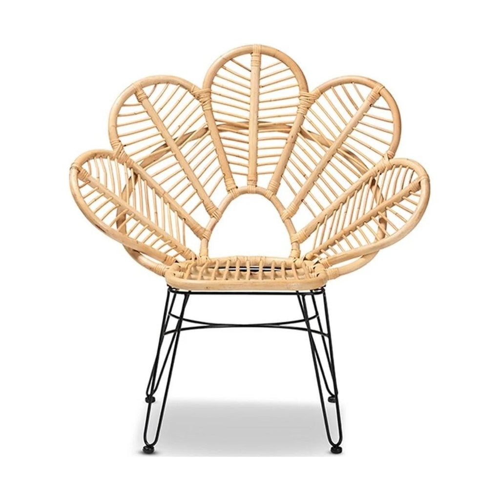 Natural Brown Rattan and Black Metal Accent Chair F54118