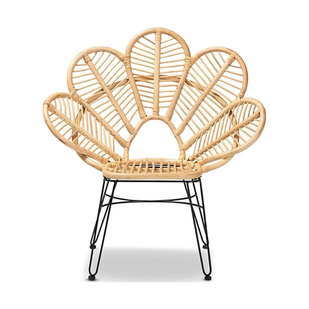 Natural Brown Rattan and Black Metal Accent Chair F54118