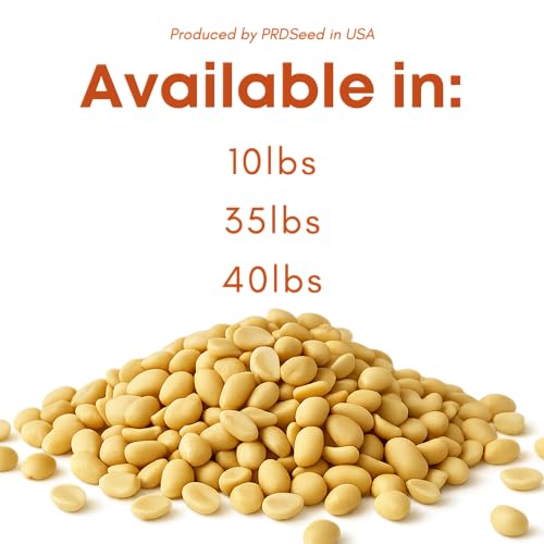 Raw Peanuts for Birds & Squirrels 10lbs N40819