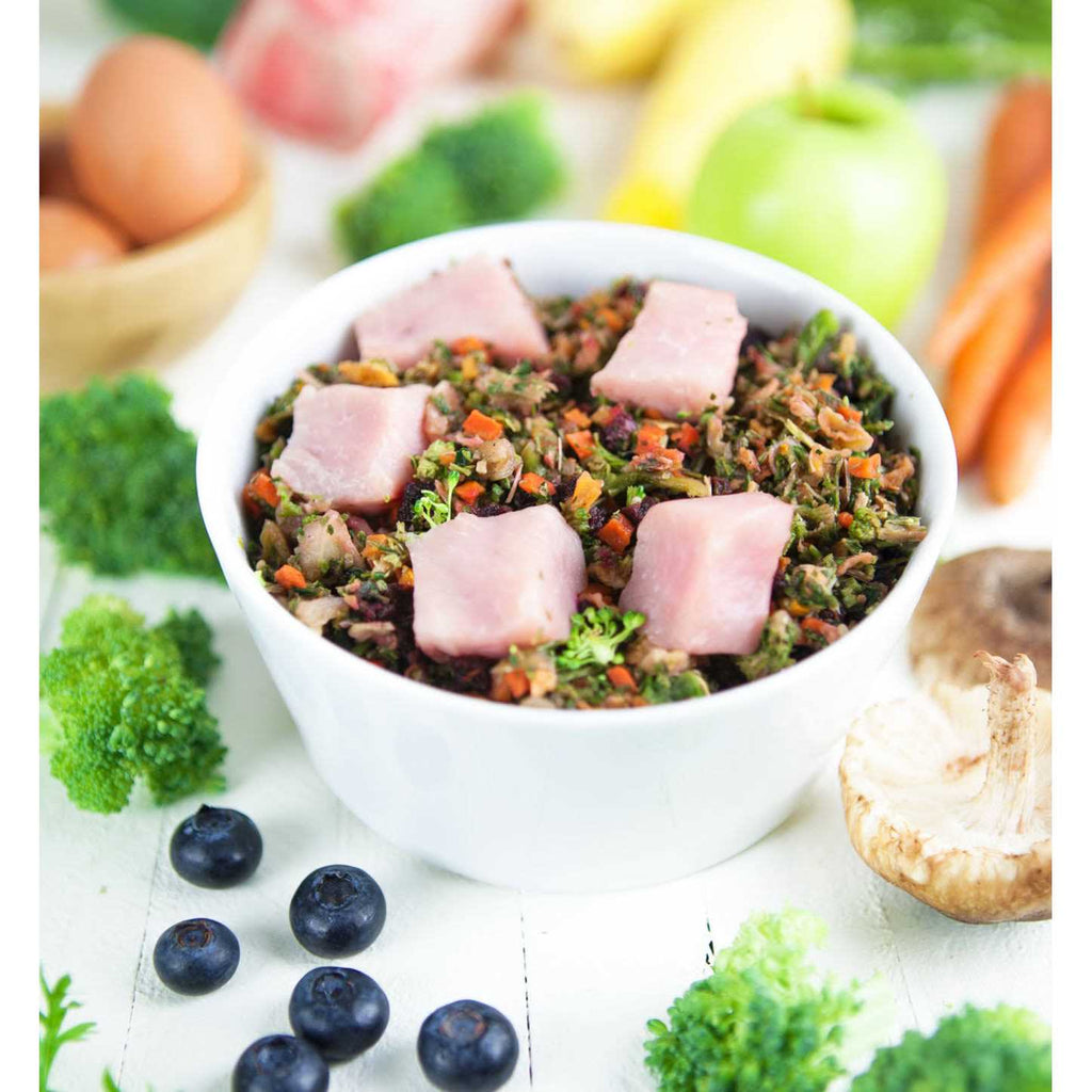 Raw Vibrance Dog Food S374