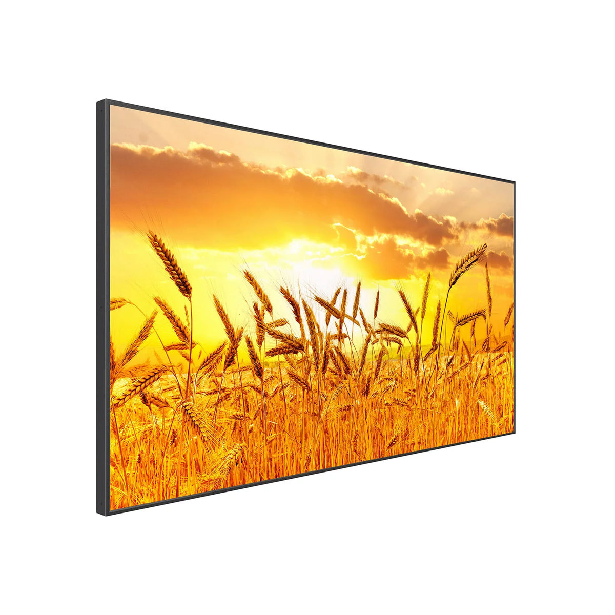43" High Brightness Smart Outdoor Television F1155