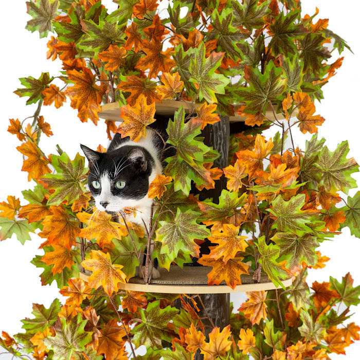 Square Cat Tree S69062