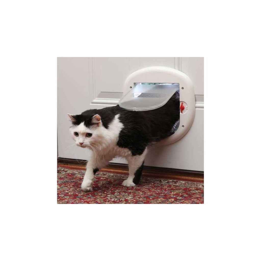 Big Cat Door Z1395