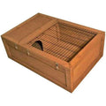 Tortoise House B2522