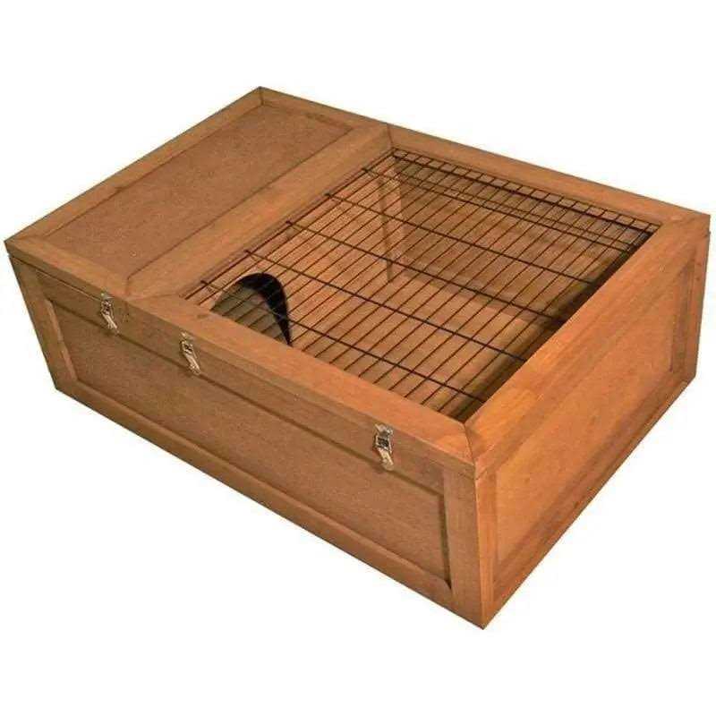 Tortoise House B2522