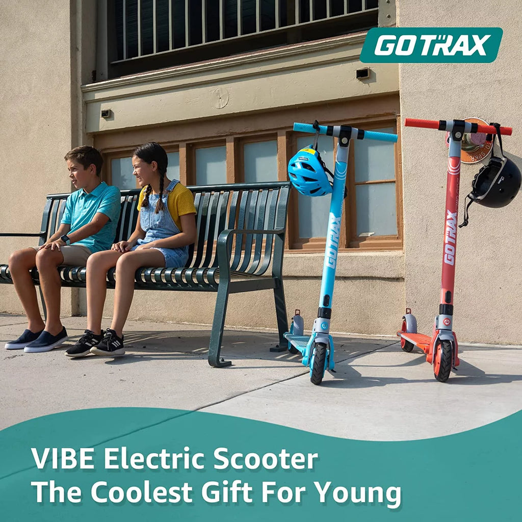Blue 250W Foldable Electric Scooter R821
