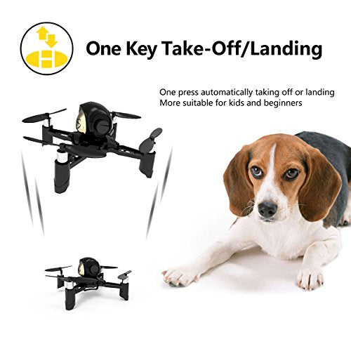 Mini RC Drone Quadcopter 2.4GHz 4 Channels R8195