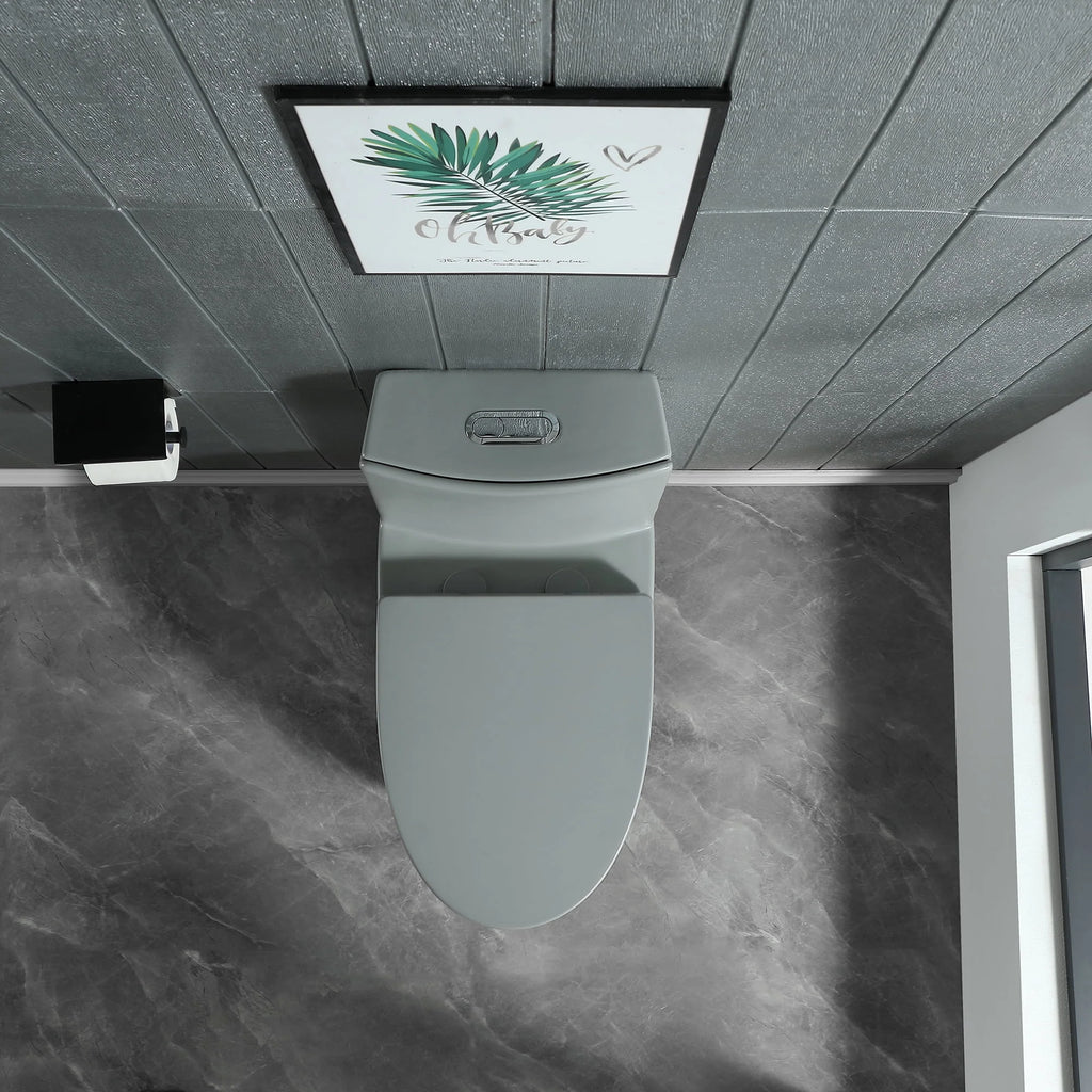Dual Flush Elongated Toilet with Soft-Close Seat F7317