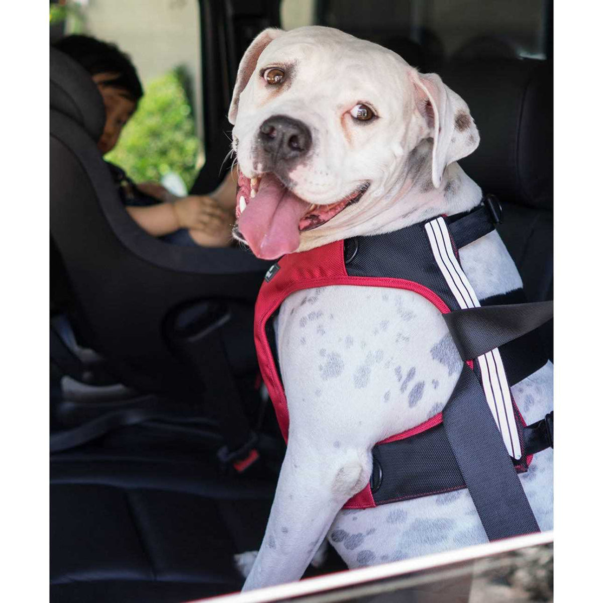 Pet Supplies I3156