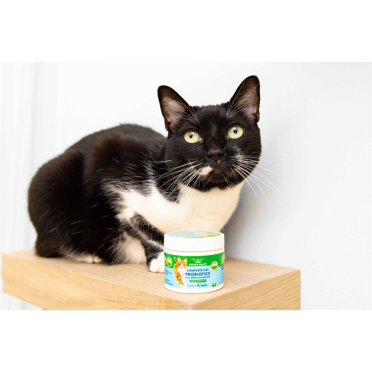 Cat Probiotics with Prebiotics & Enzymes O99360