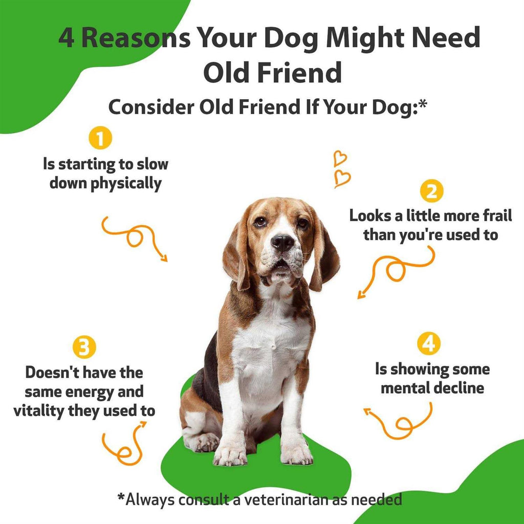 Senior Dogs Pet Supplies C515