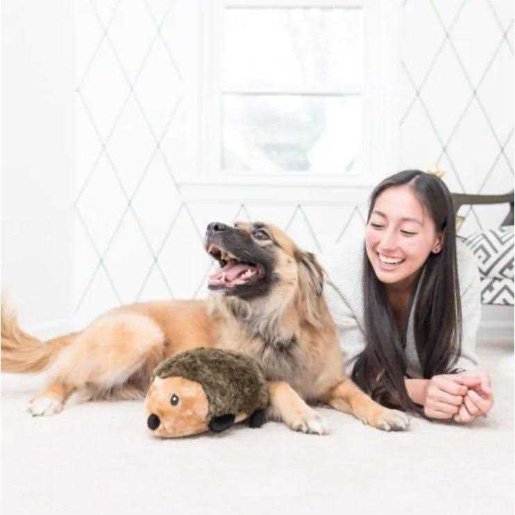 Hedgehog Dog Toy X265