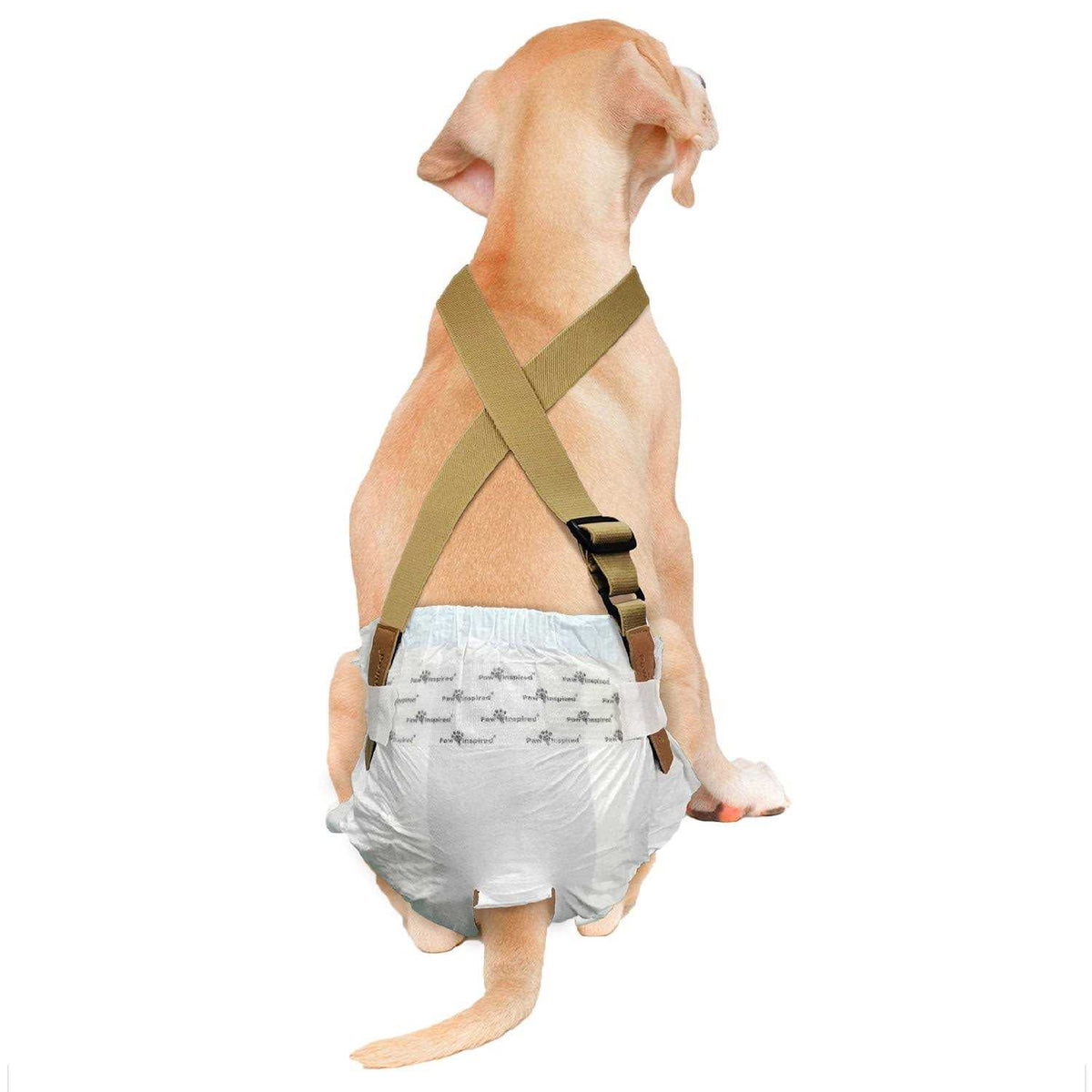Dog Diaper Suspenders M24451
