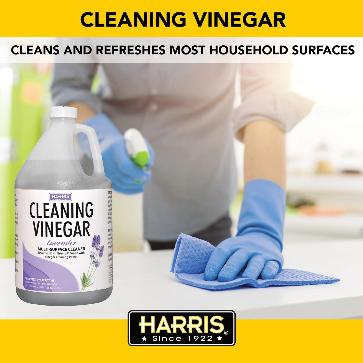 Lavender Scented Multi-Surface Vinegar Cleaner 1 Gallon S677720