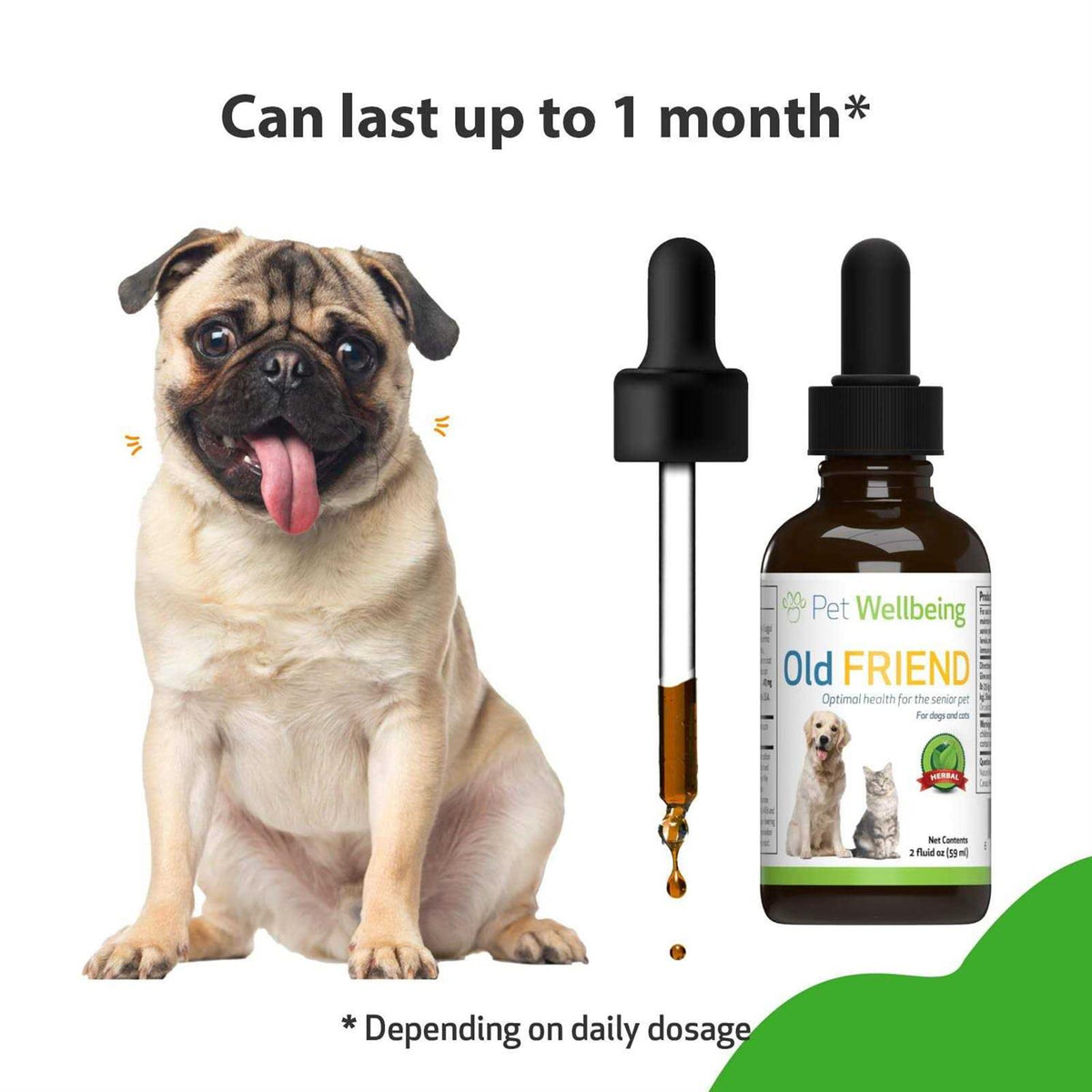 Senior Dogs Pet Supplies C515