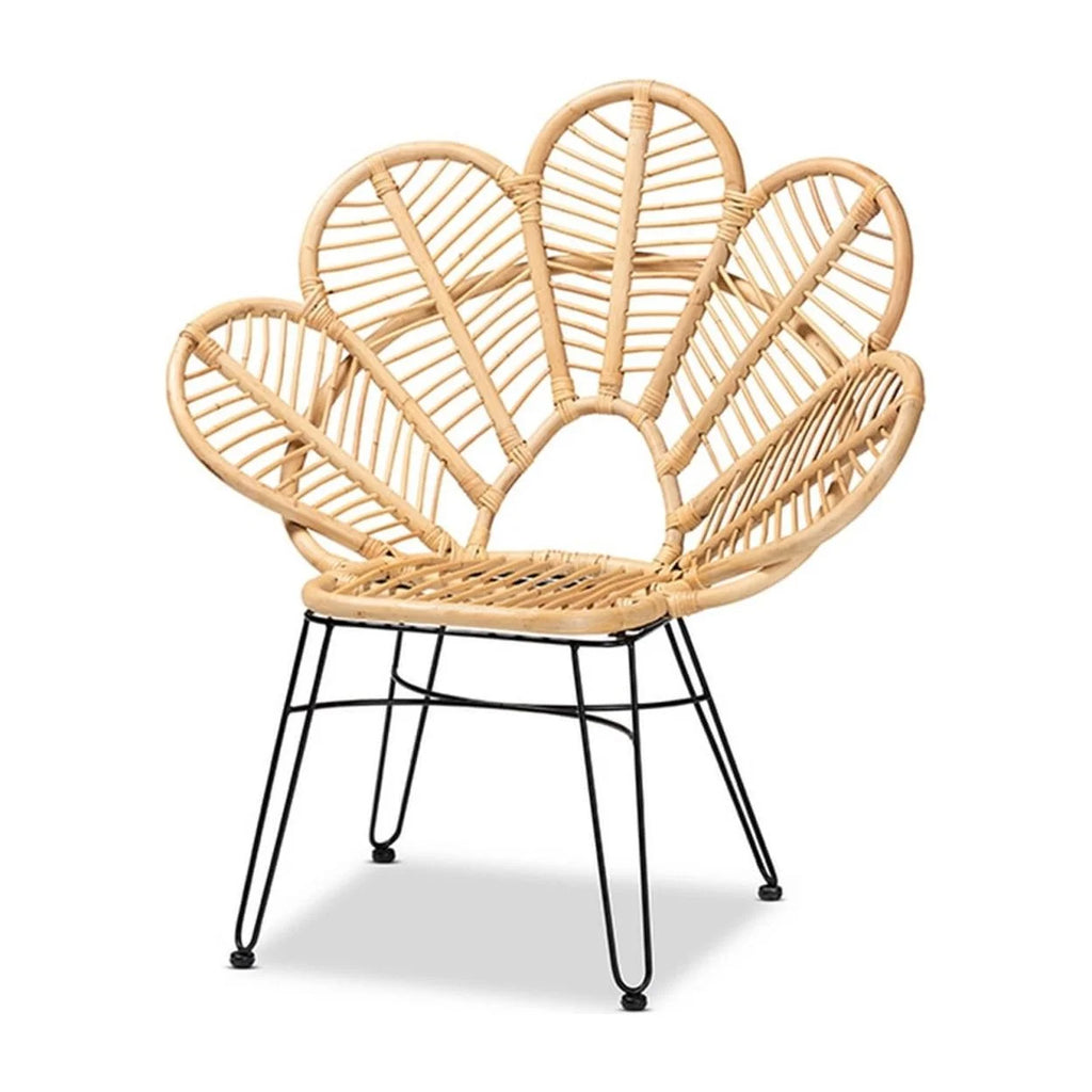 Natural Brown Rattan and Black Metal Accent Chair F54118