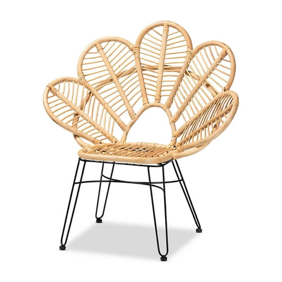 Natural Brown Rattan and Black Metal Accent Chair F54118