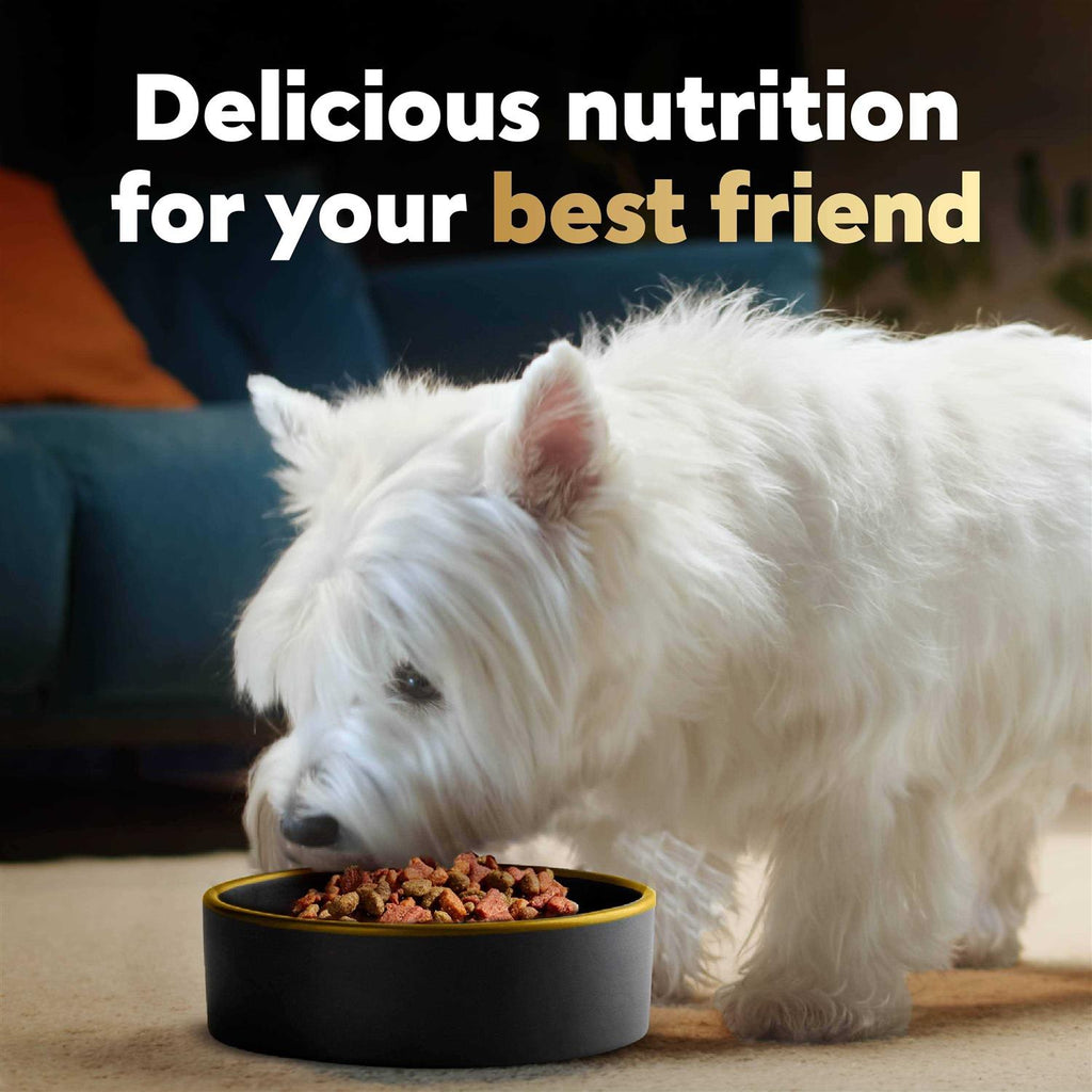 Spring Vegetables Small Breed Dry Dog Food S51462