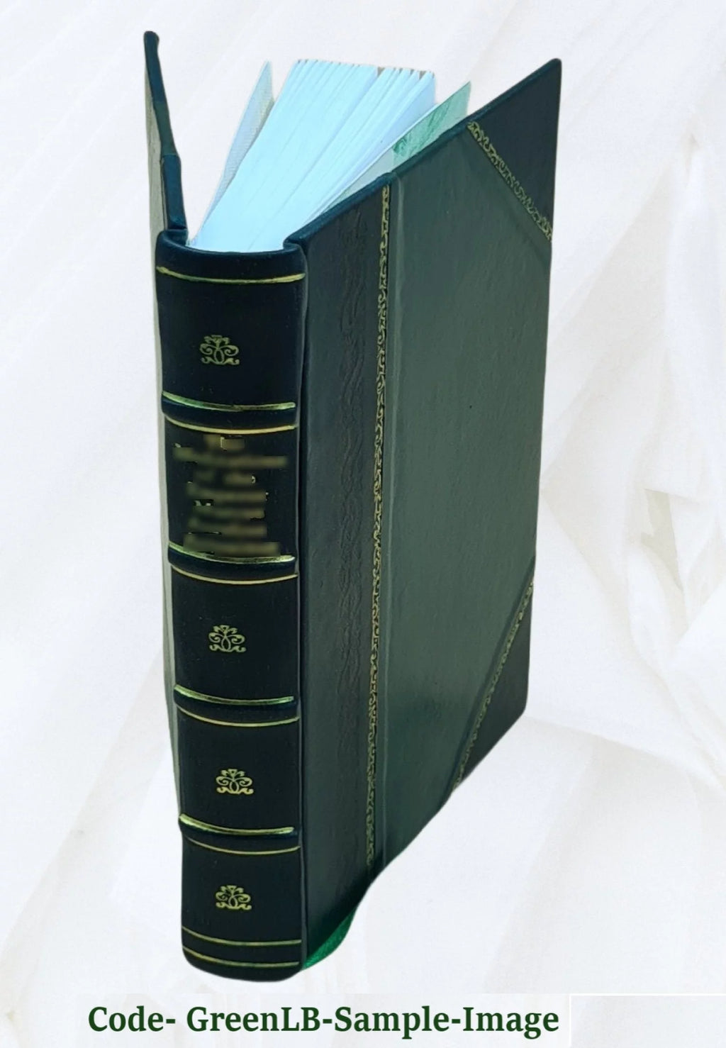Leather Bound Poetry E58274