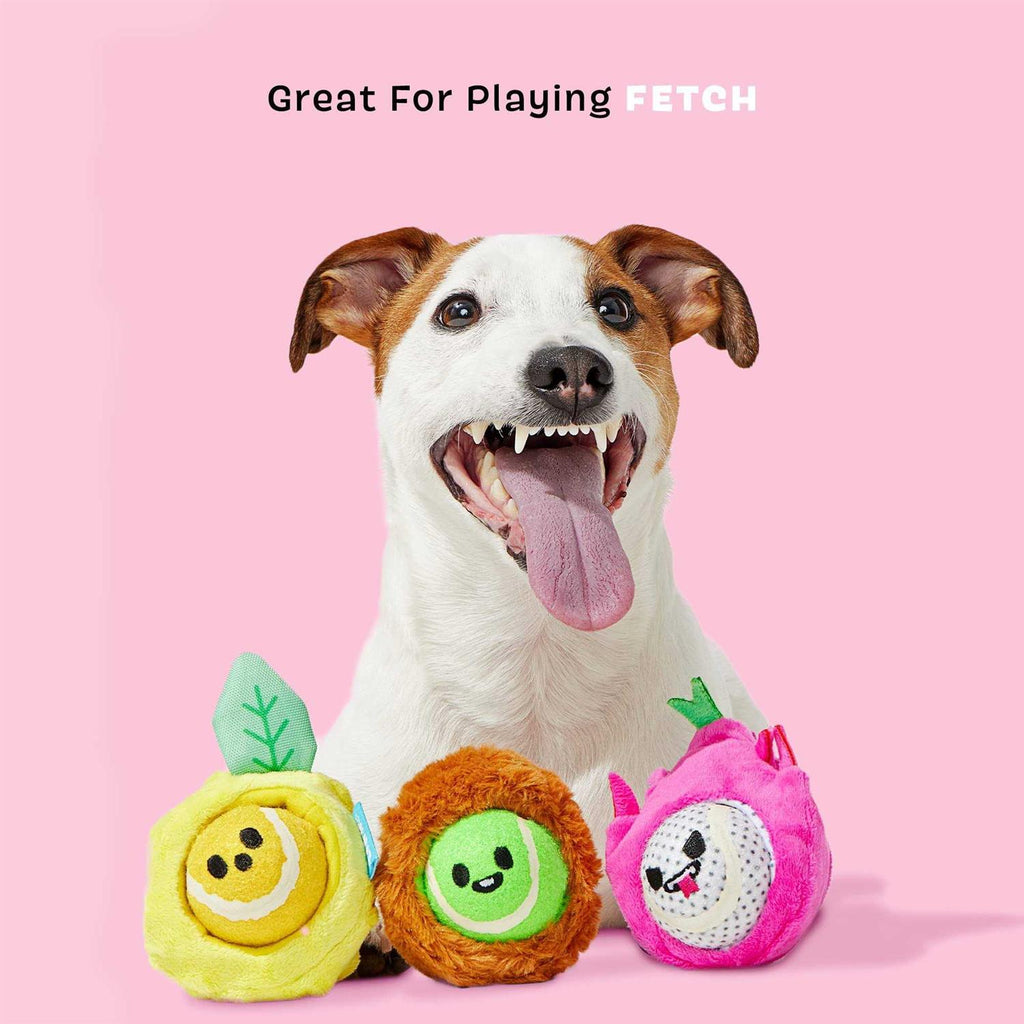 Dog Toys Squeaker Ball Toys G286